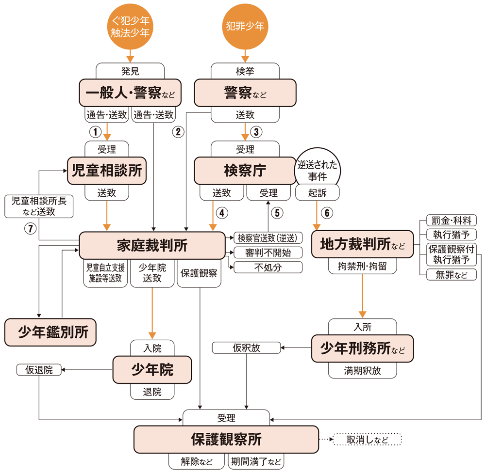 画像:少年非行に関する手続の流れ